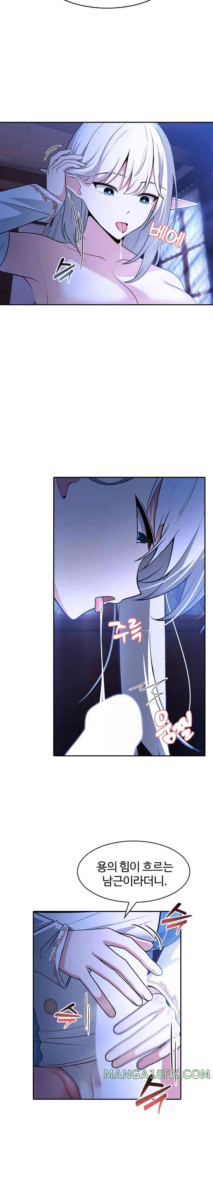 Isekai Dragondick Knight Commander Raw Chapter 2 image 3