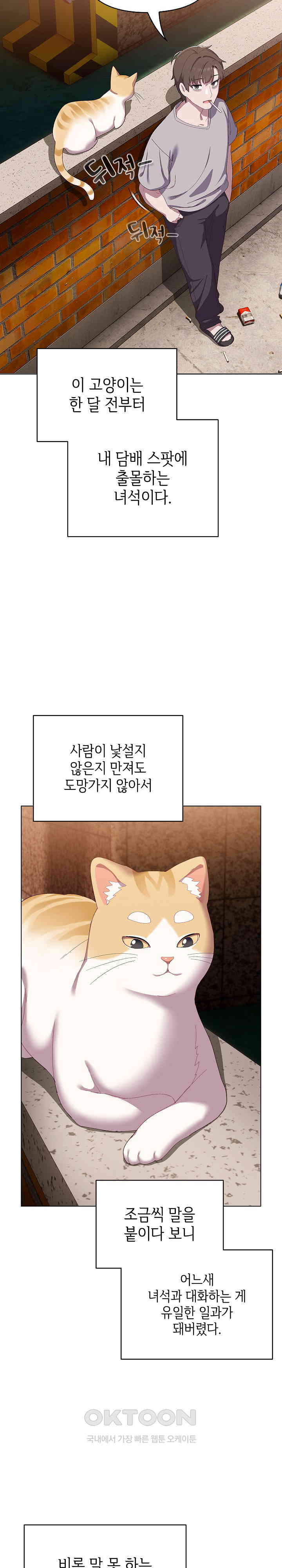 The General Is Here! Raw Chapter 1 image 14