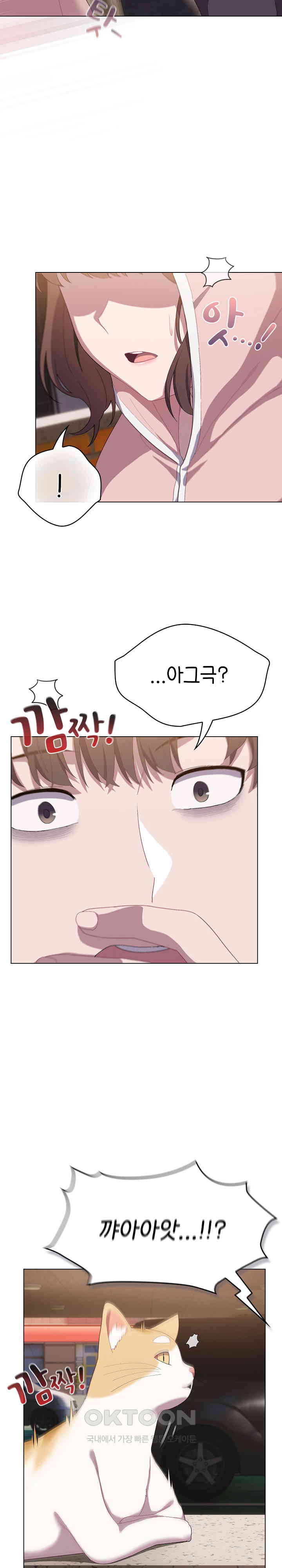 The General Is Here! Raw Chapter 1 image 24