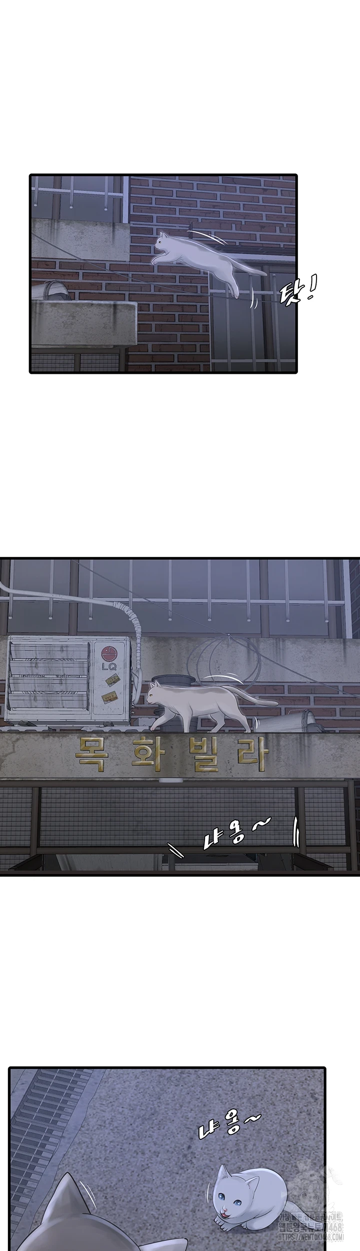 The Hole Diary Raw Chapter 78 image 9