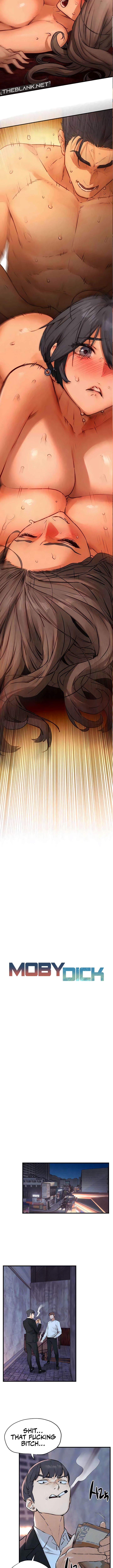 Moby Dick Chapter 20 image 2