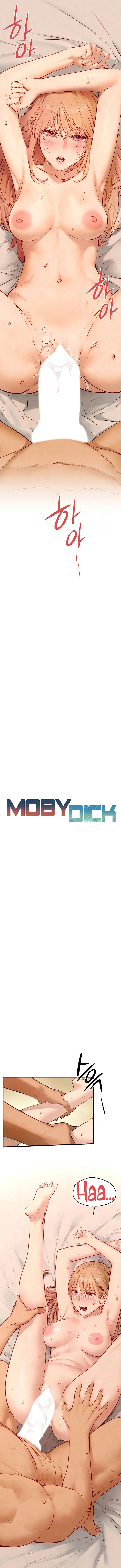 Moby Dick Chapter 44 image 1