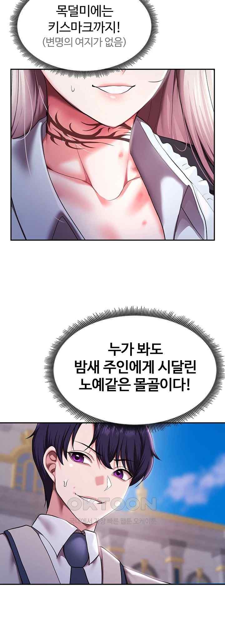 For Sale: Fallen Lady, Never Used Raw Chapter 11 image 42