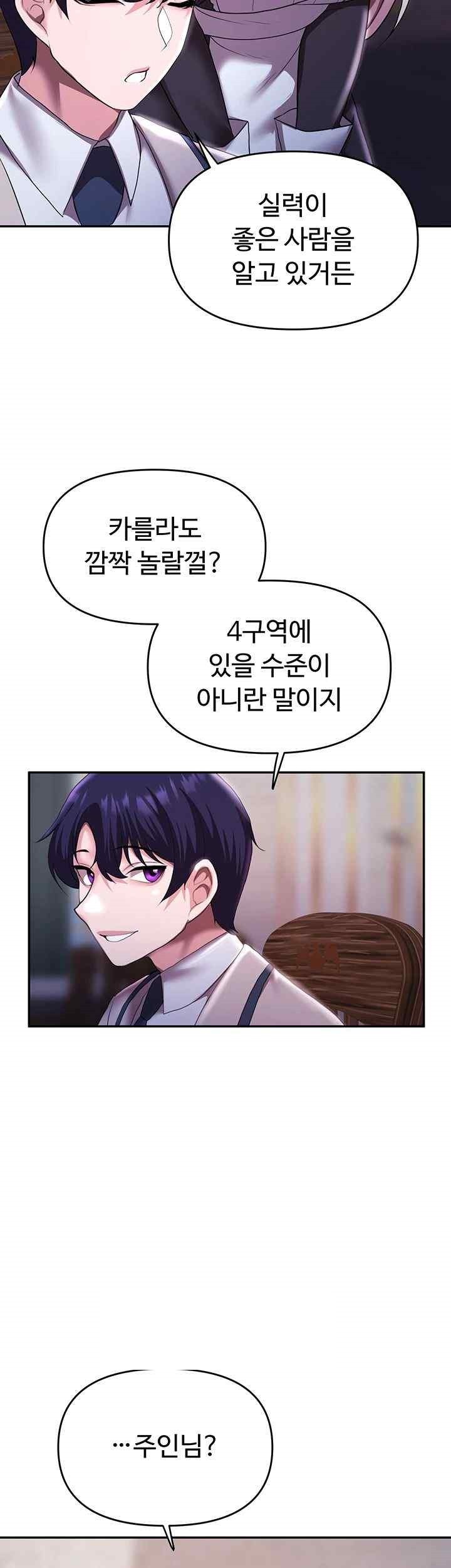 For Sale: Fallen Lady, Never Used Raw Chapter 12 image 43