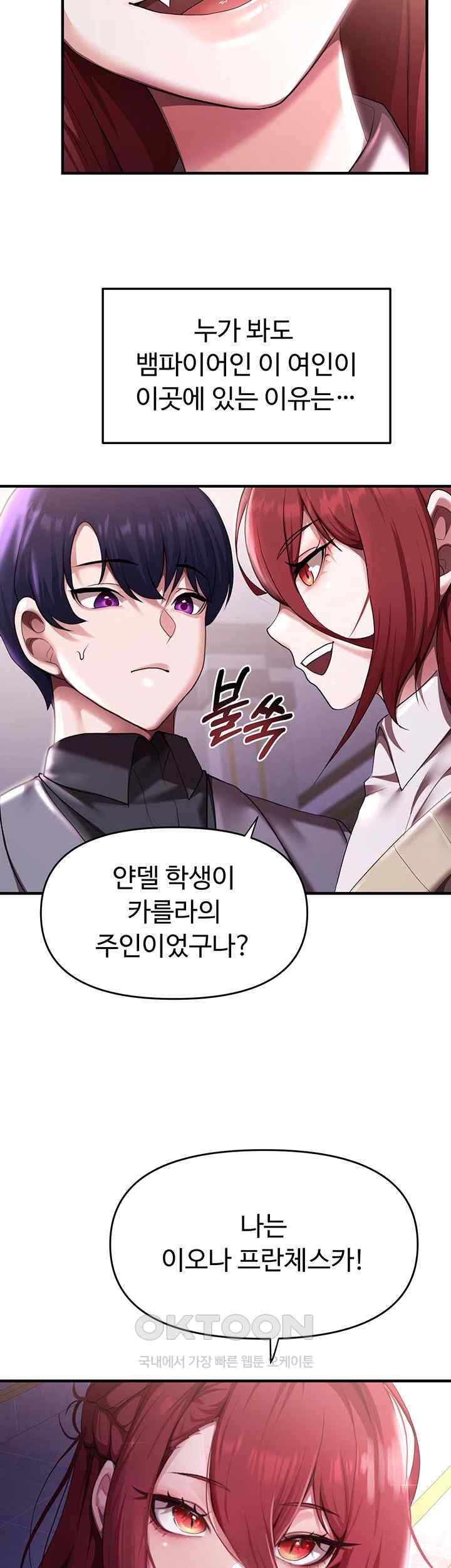 For Sale: Fallen Lady, Never Used Raw Chapter 9 image 17