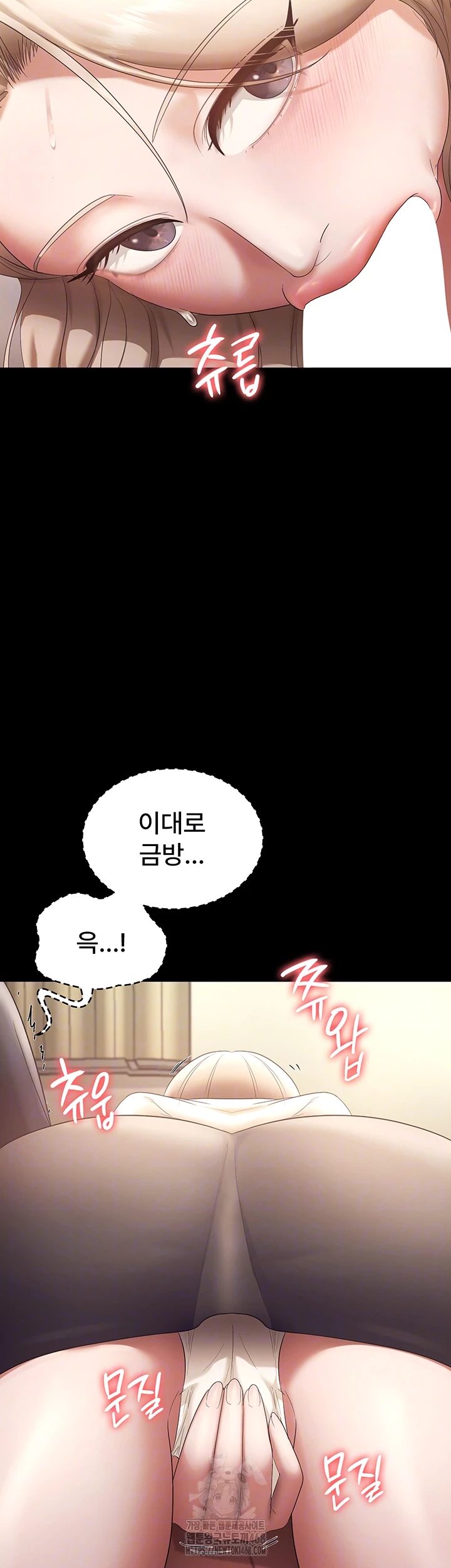 The Chairman’s Wife Raw Chapter 66 image 13