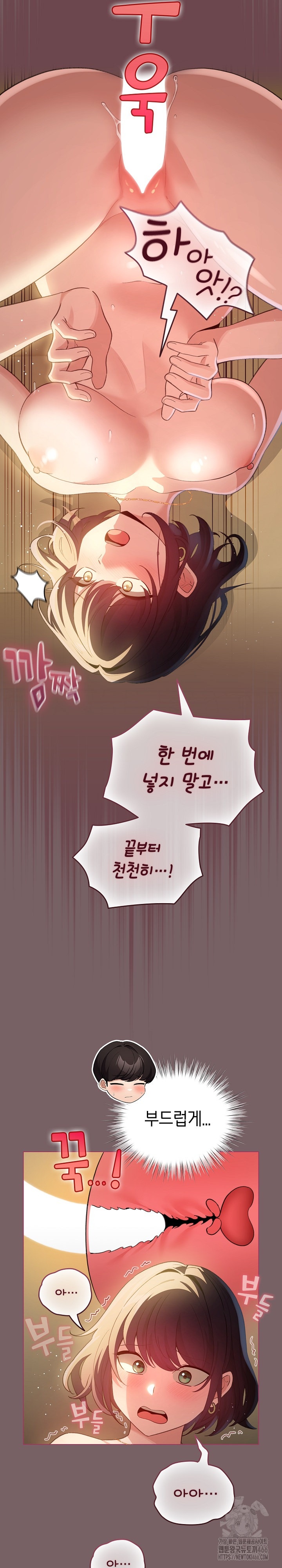 I Became a Pornhwa NPC Raw Chapter 11 image 9