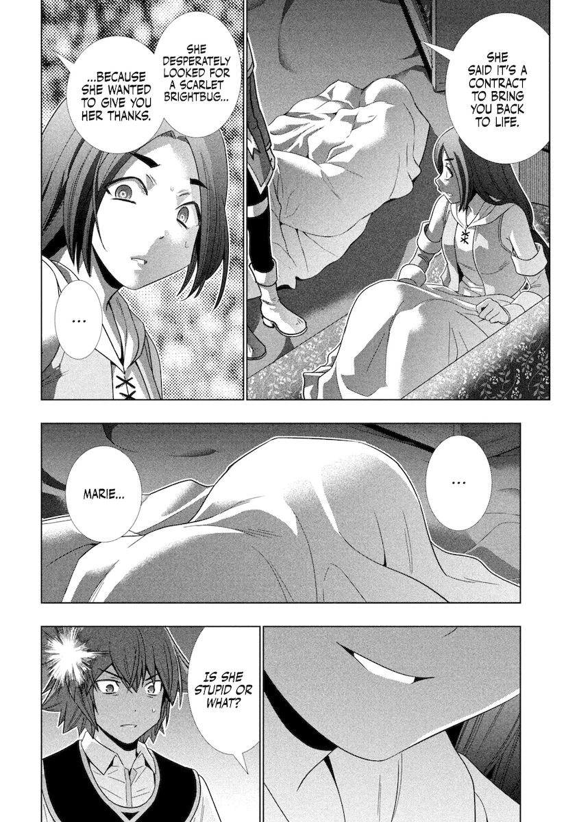 Parallel Paradise Chapter 167 image 12