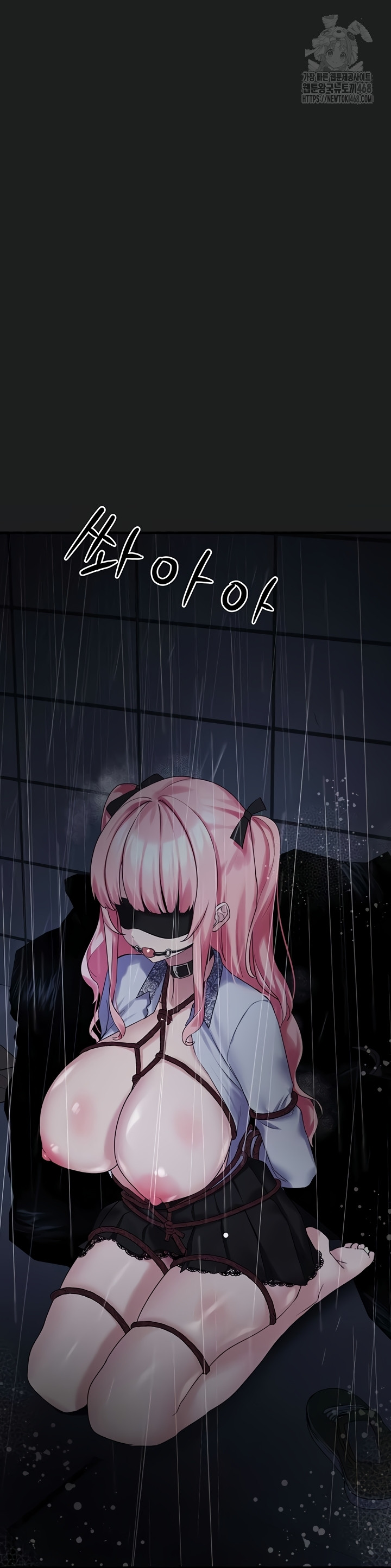 I Picked Up an Unstable Girl From the Junkyard Raw Chapter 27 image 23