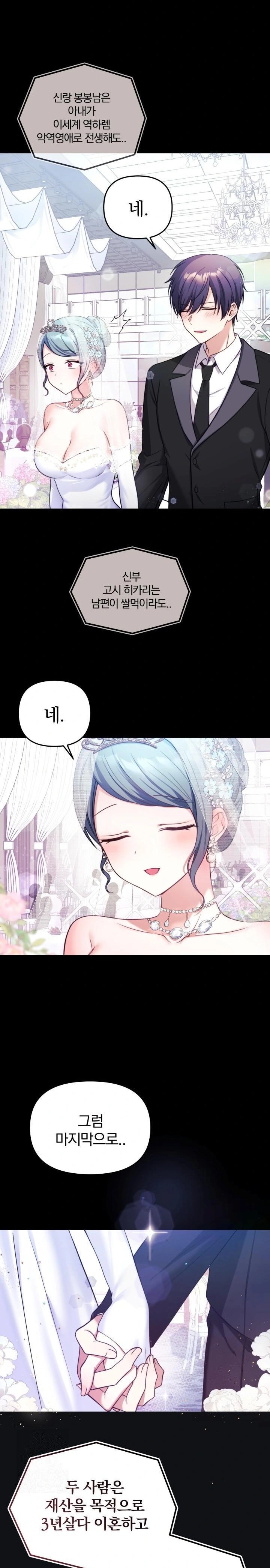 Wife VTuber Raw Chapter 1 image 5