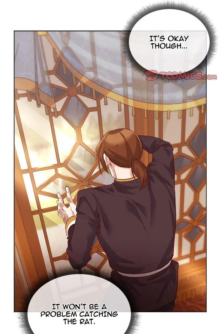 I Will Protect the Lady Chapter 10 image 53