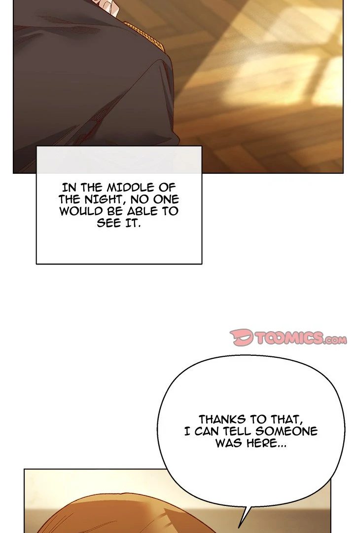 I Will Protect the Lady Chapter 10 image 65