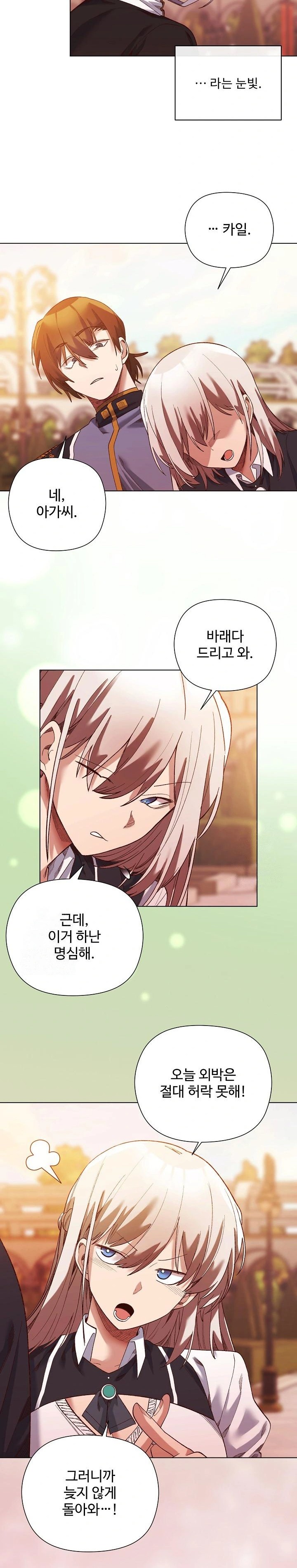 I Will Protect the Lady Raw Chapter 15 image 20
