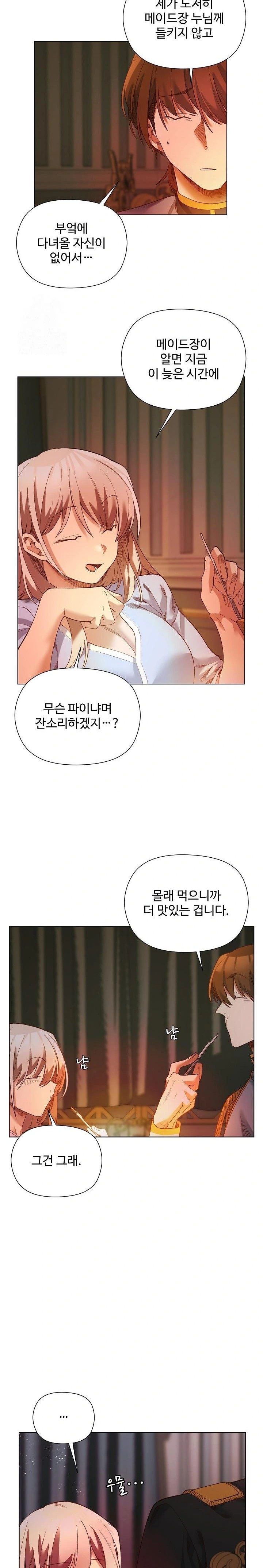 I Will Protect the Lady Raw Chapter 17 image 17
