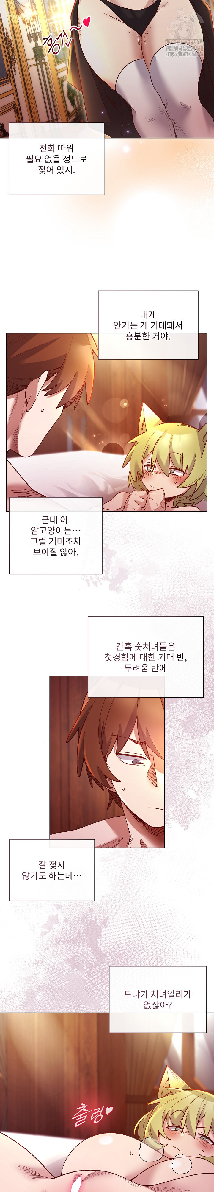 I Will Protect the Lady Raw Chapter 25 image 4