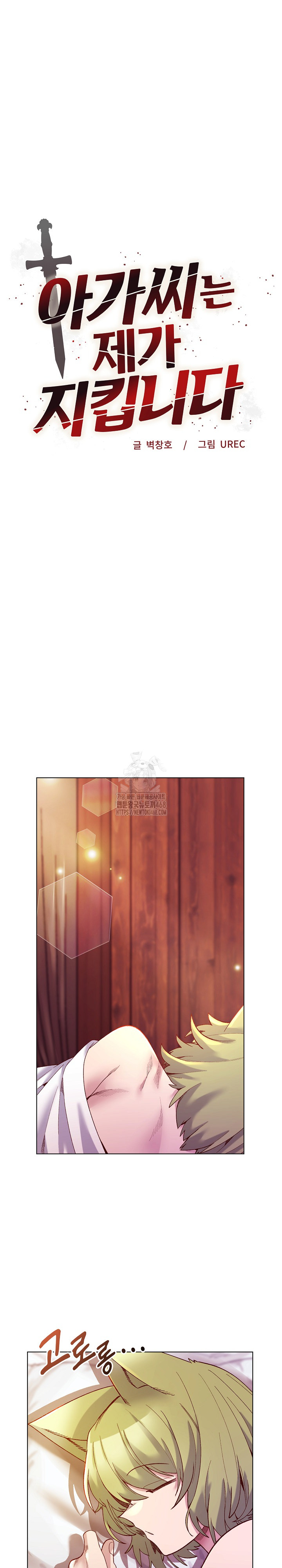 I Will Protect the Lady Raw Chapter 28 image 1