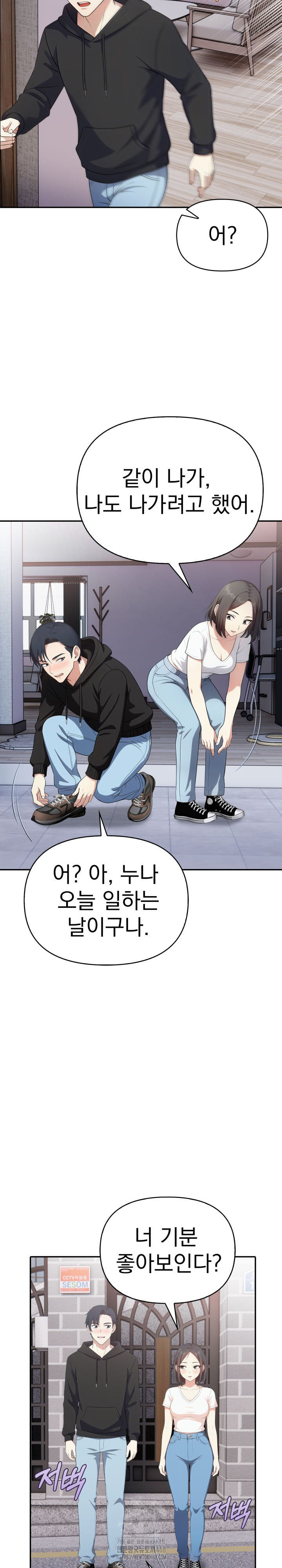 My Secret With My Auntie Raw Chapter 10 image 17
