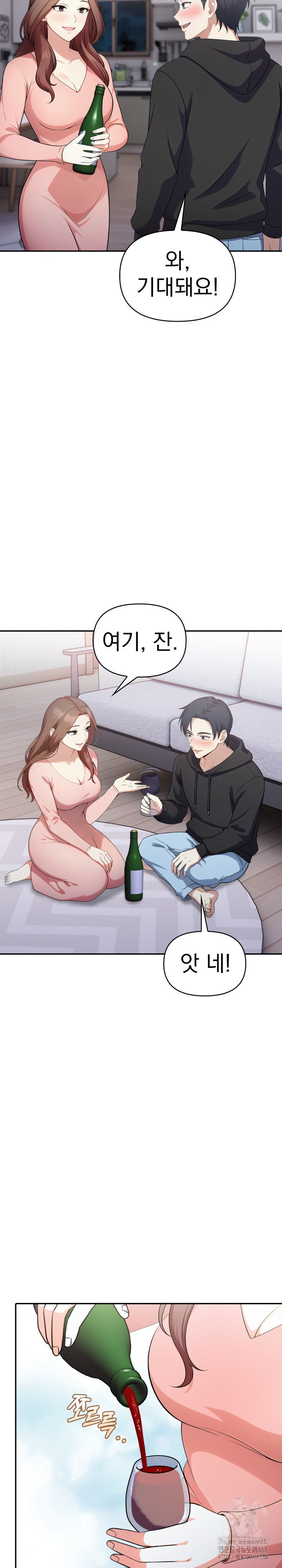My Secret With My Auntie Raw Chapter 11 image 17