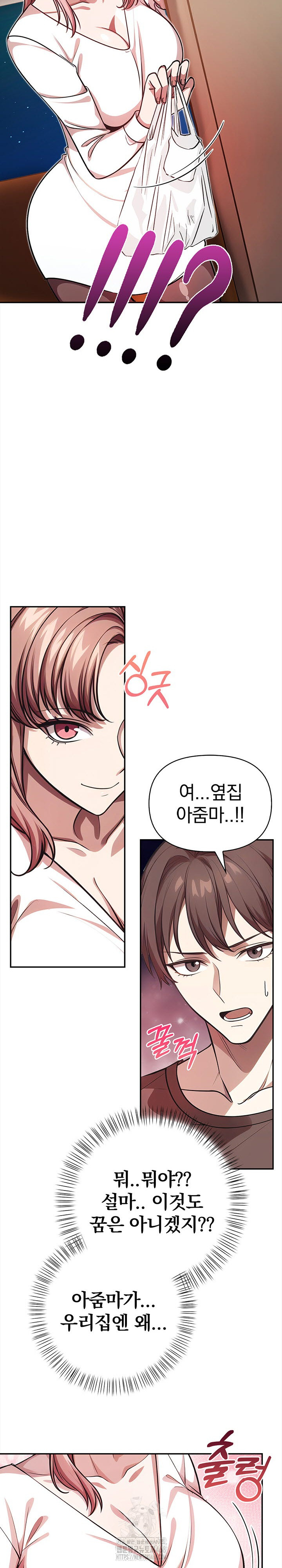 The Married Woman, Jieun Raw Chapter 2 image 18