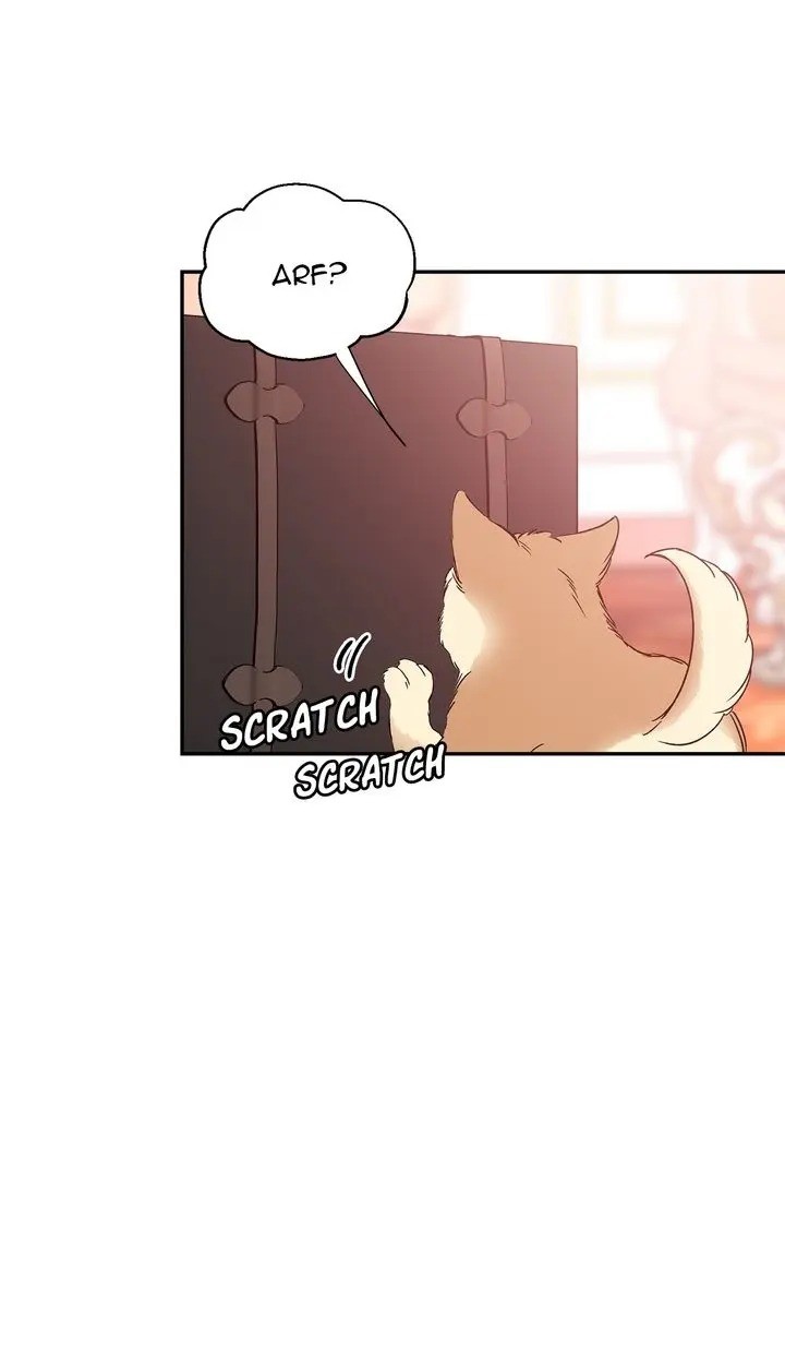 Doctor Elise: The Royal Lady With The Lamp Chapter 131 image 4