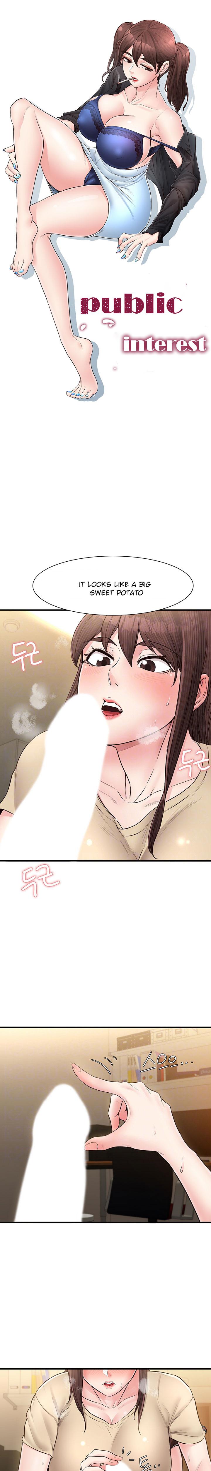 Public Interest Chapter 17 image 0