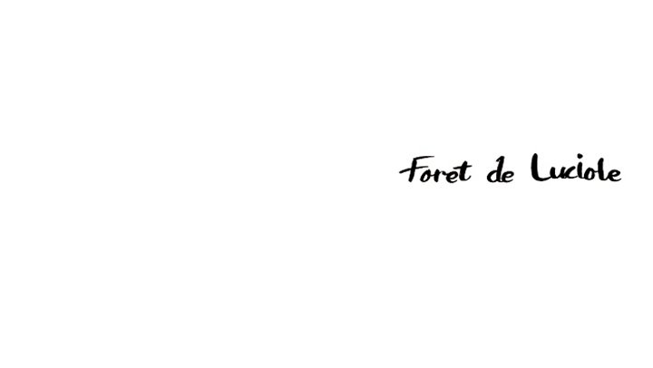 Forest of the Fireflies Chapter 28 image 76