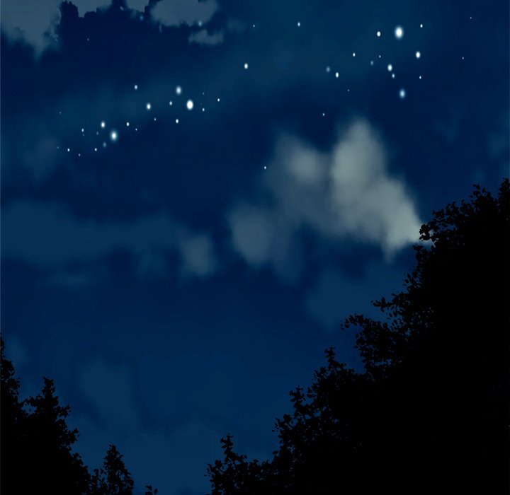Forest of the Fireflies Chapter 62 image 4