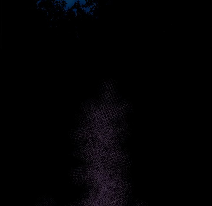 Forest of the Fireflies Chapter 62 image 5