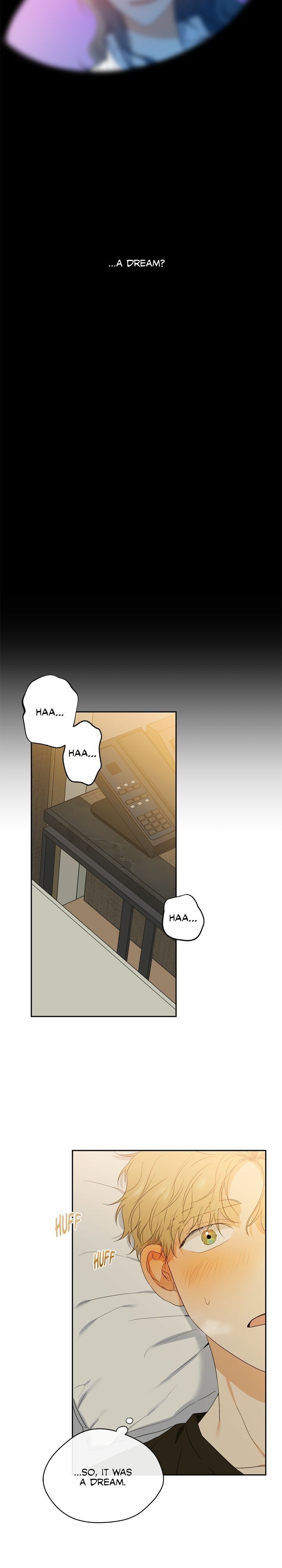 Sweet Dream Chapter 33 image 13