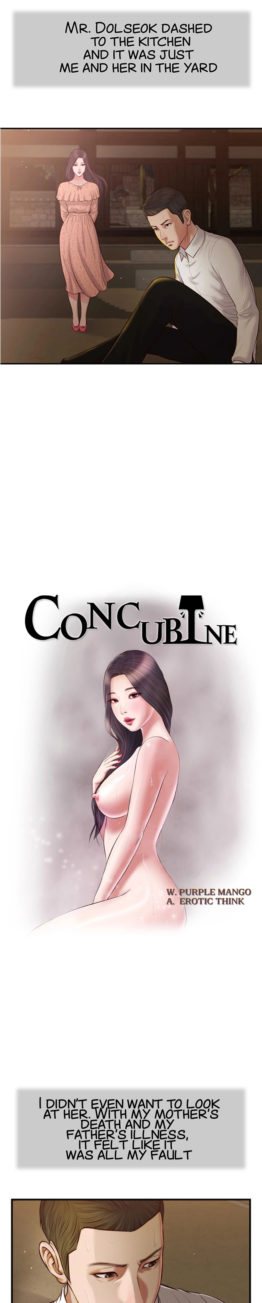 Concubine Chapter 47 image 1