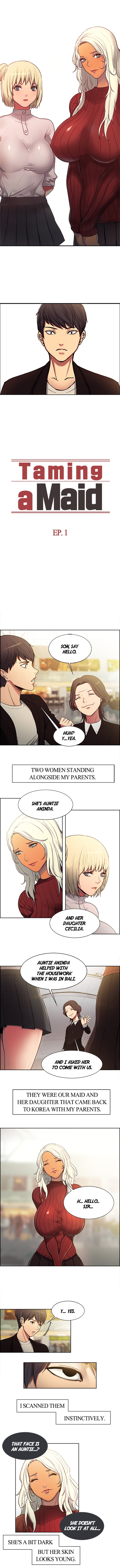 Taming a Maid Chapter 1 image 0