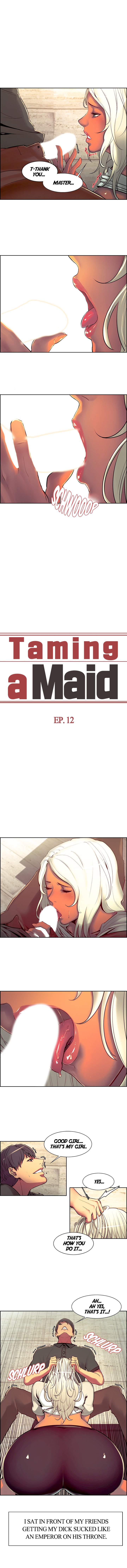Taming a Maid Chapter 12 image 0
