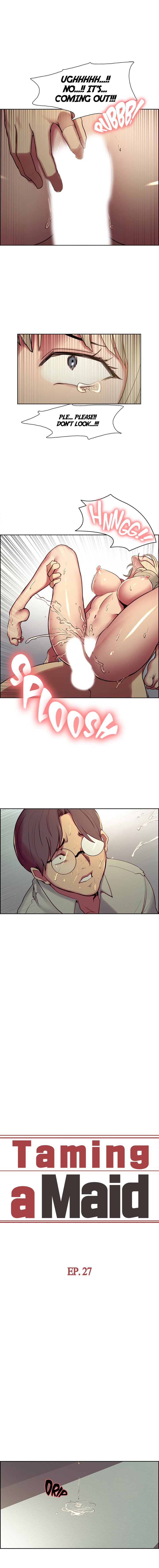 Taming a Maid Chapter 27 image 0