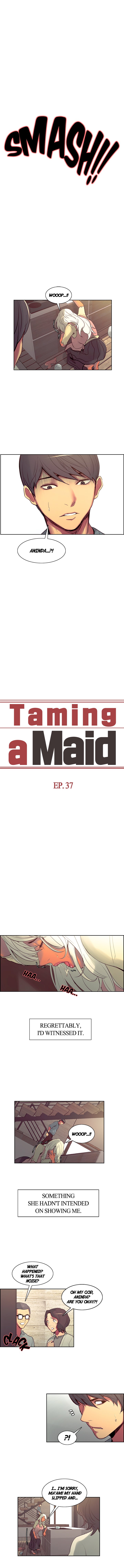 Taming a Maid Chapter 37 image 0