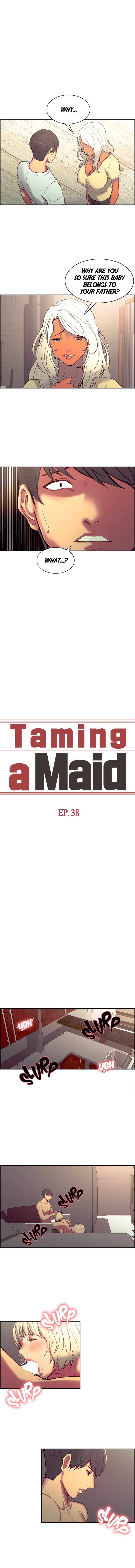 Taming a Maid Chapter 38 image 0