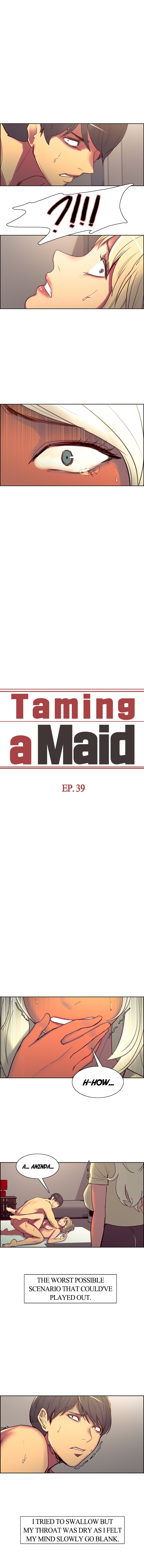 Taming a Maid Chapter 39 image 0