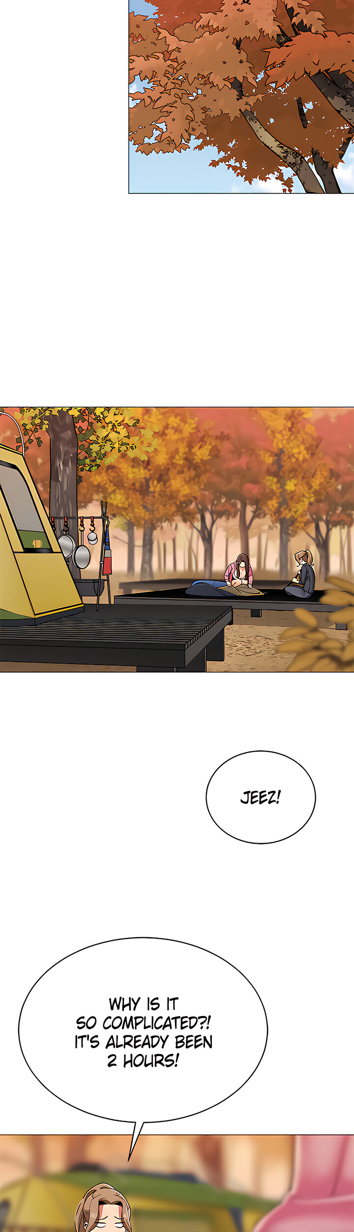 Nice Day for Camping Chapter 50 - The End image 27