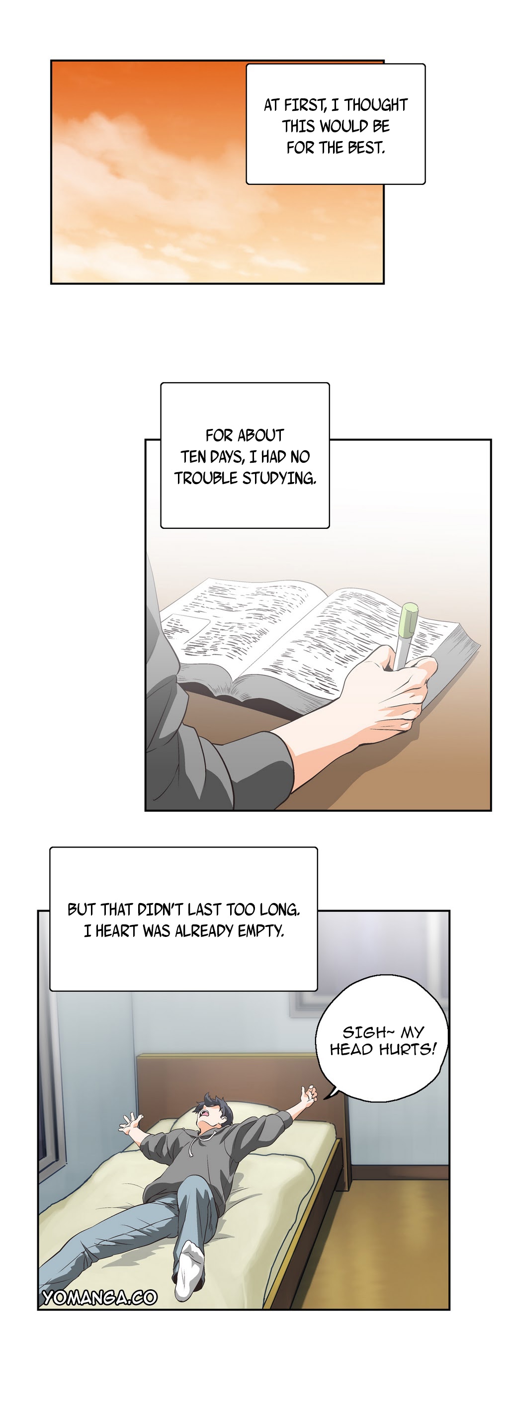 SStudy Chapter 12 image 9