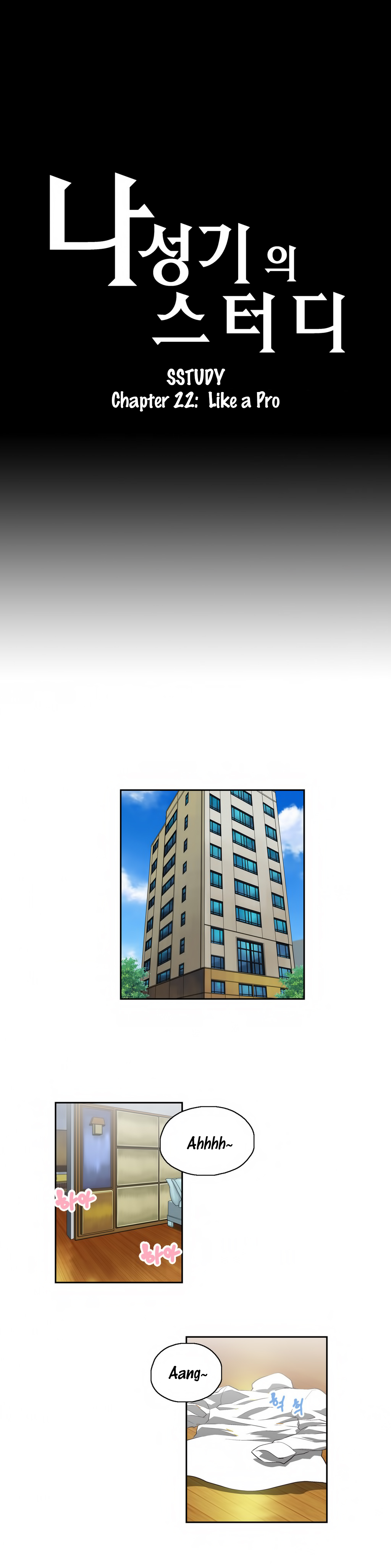 SStudy Chapter 22 image 0