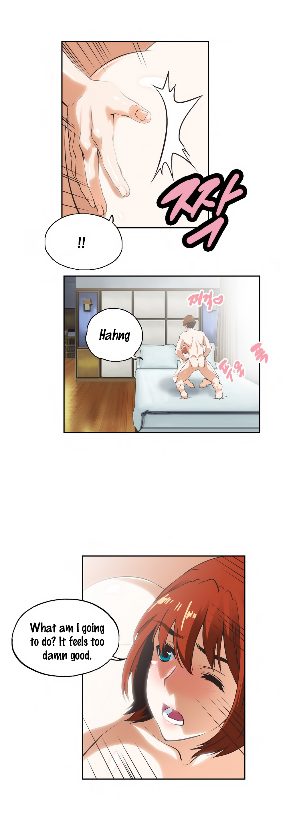 SStudy Chapter 22 image 4