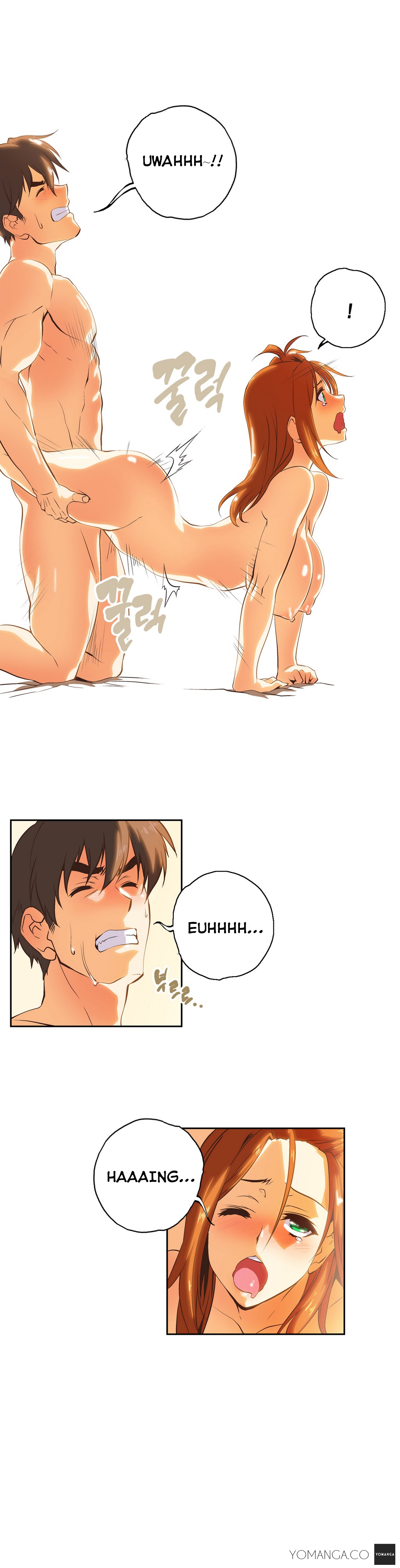 SStudy Chapter 26 image 8