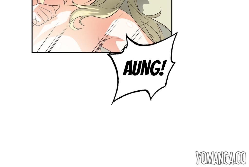 SStudy Chapter 33 image 7
