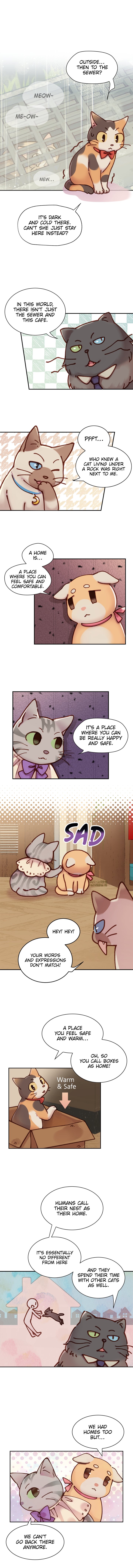 INVITED TO THE CAT CAFÉ Chapter 12 image 3