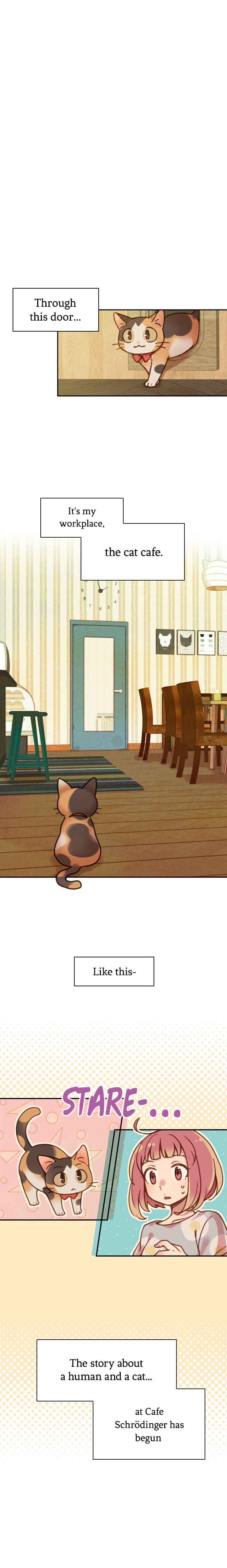 INVITED TO THE CAT CAFÉ Chapter 2 image 0