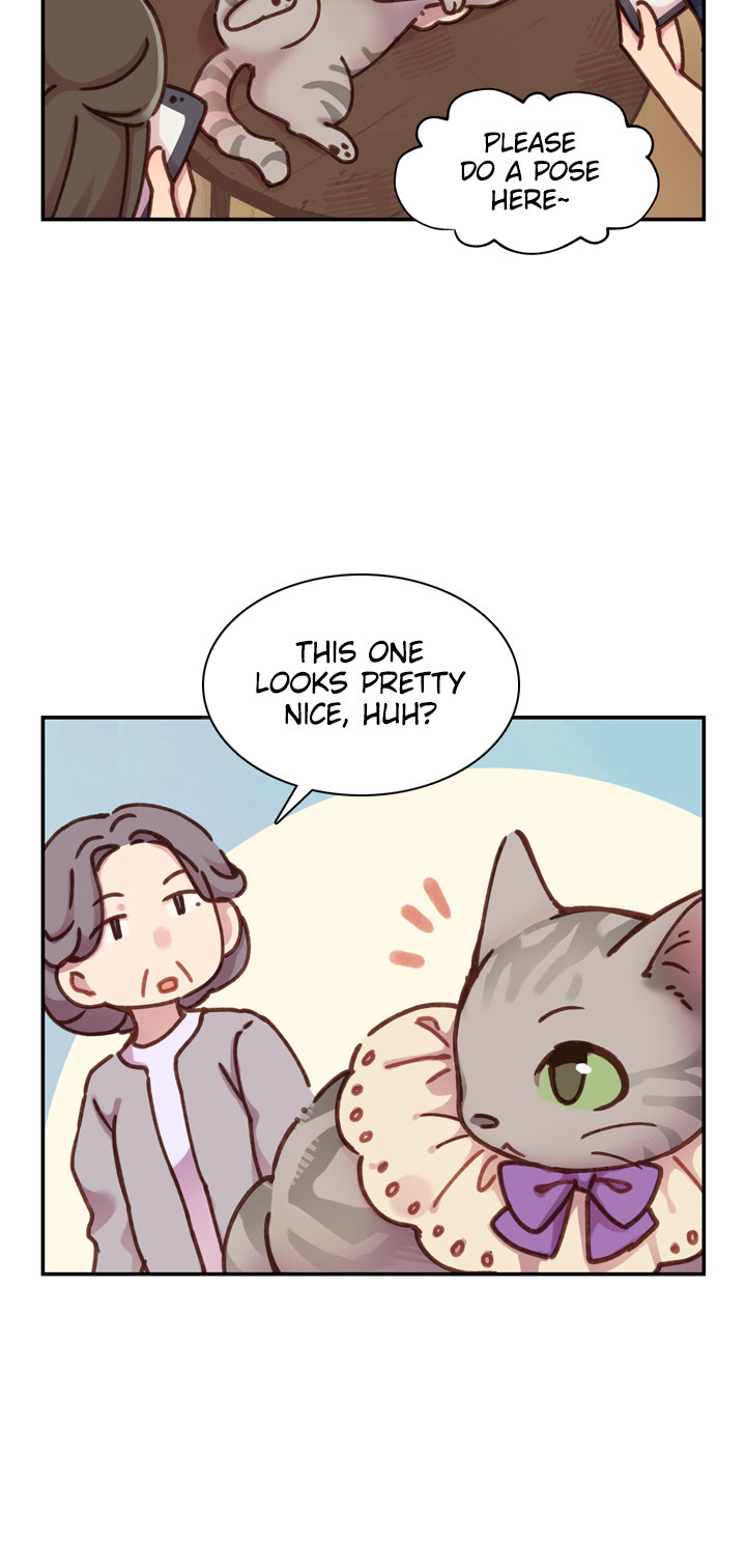 INVITED TO THE CAT CAFÉ Chapter 25 image 9