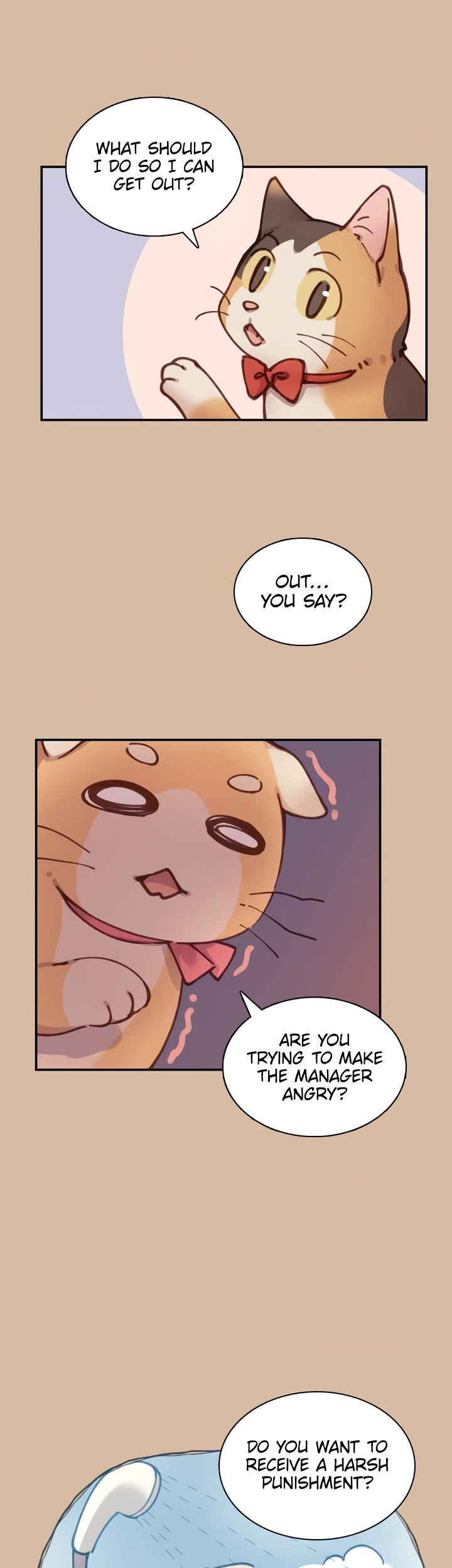 INVITED TO THE CAT CAFÉ Chapter 31 image 15