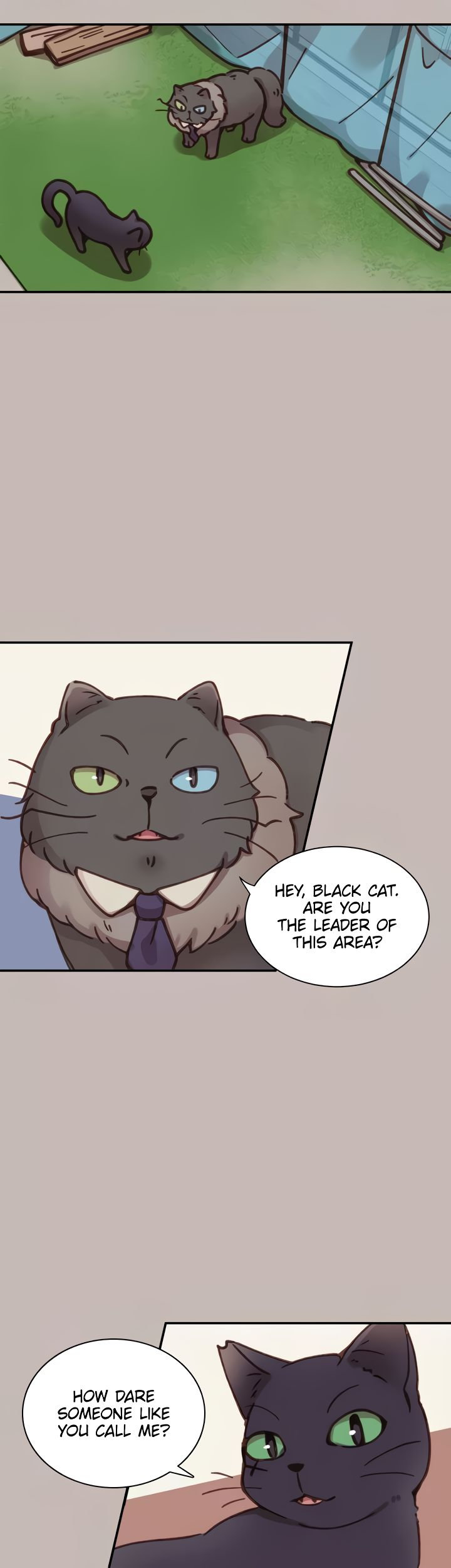INVITED TO THE CAT CAFÉ Chapter 32 image 9