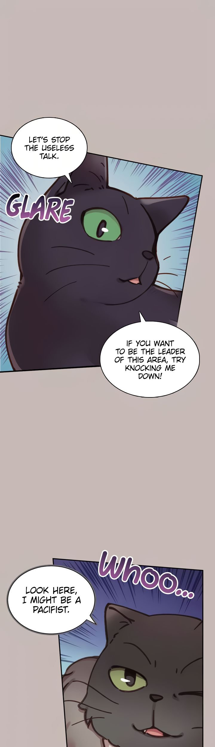 INVITED TO THE CAT CAFÉ Chapter 32 image 12