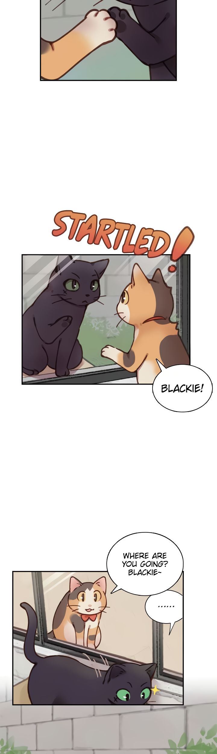 INVITED TO THE CAT CAFÉ Chapter 32 image 17