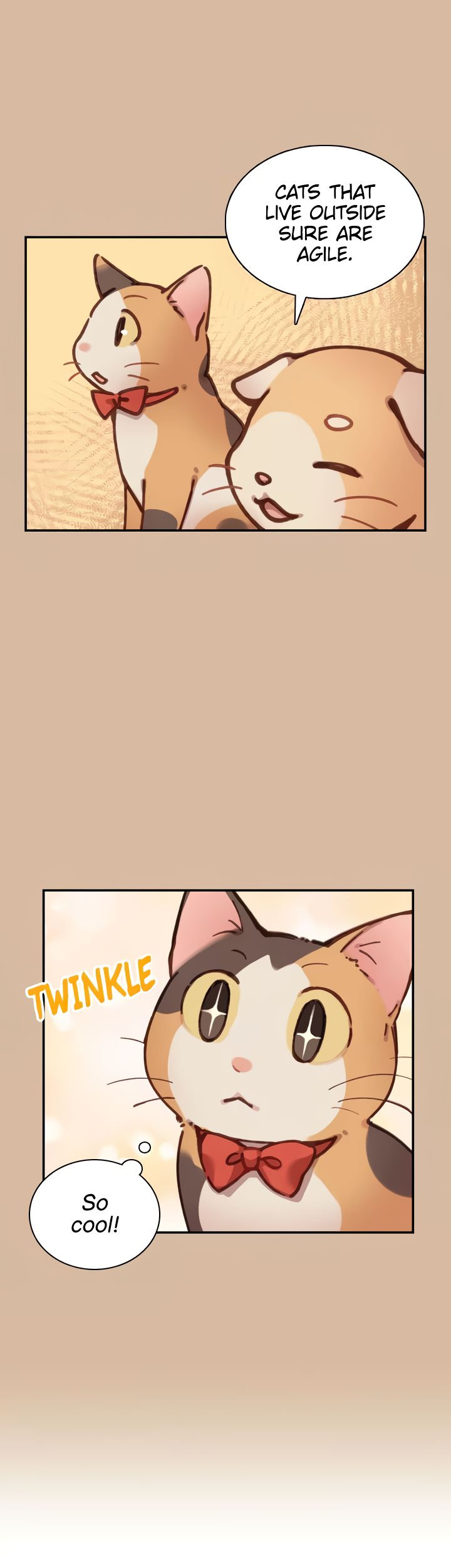 INVITED TO THE CAT CAFÉ Chapter 32 image 4